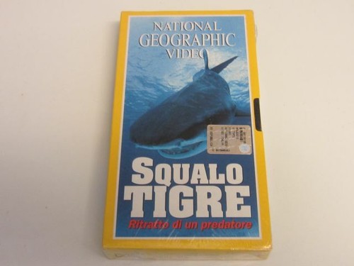 Squalo tigre national - squalo,