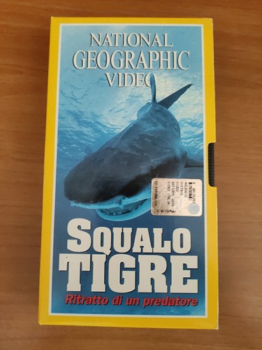 Squalo tigre national - tigre,