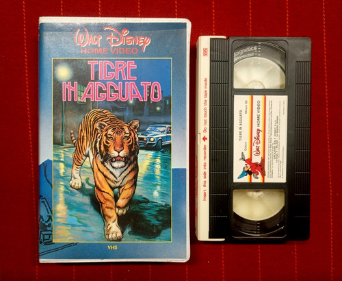 Norman tokar tigre in - tokar,